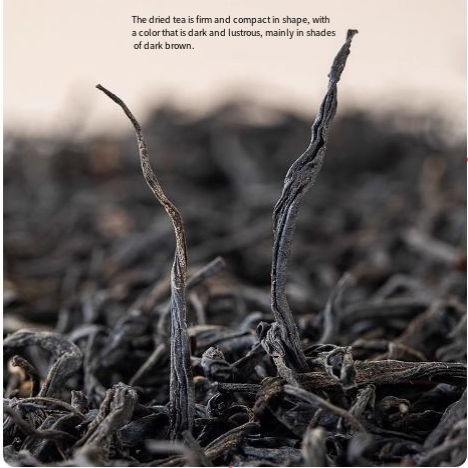 Lapsang Souchong black tea has a strong aroma type